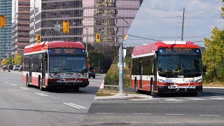 TTC Bus 184 [upl. by Reo944]