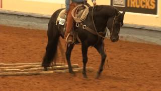 AQHA Ranch Pleasure Class [upl. by Yllom512]