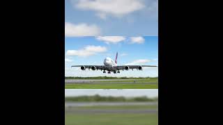 quotI have the best emergency landingquot aviation emergencylanding planes quantas fyp viraledit [upl. by Euqinahc]