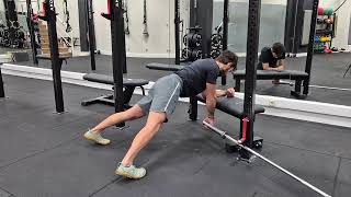 Elevated Plank Bench DB Horizontal Pull Iso  Pull [upl. by Orelia]