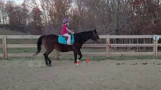 ruby offenberger class 4 small fry Equitation Dec 4 [upl. by Fridell374]