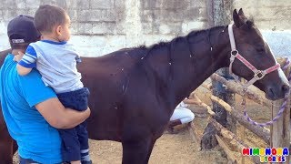 Caballitos para niños  Horses for kids  Old Macdonald Had a Farm Song  Mimonona Stories [upl. by Rehpotsrihc870]