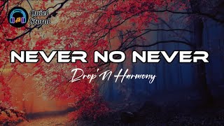 Never No Never  DropN Harmony LYRICS VIDEO [upl. by Alf540]