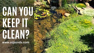 How to keep pond pebble clean [upl. by Ulane]