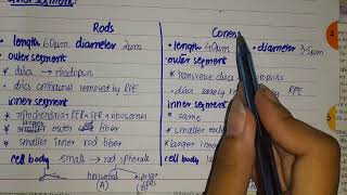 Difference between Rods and Cones cells [upl. by Assiluj]