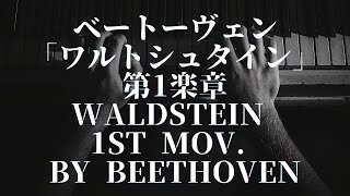 Piano sonata No21 Waldstein 1st mov by Beethoven [upl. by Ellebyam]