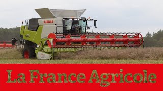 New  la moissonneusebatteuse Claas Trion en action [upl. by Aerdnahc]