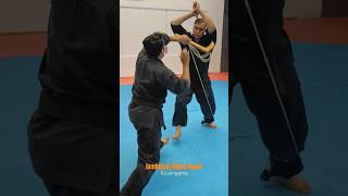 Kusarigama Skills Genbukan Ninpo budo kusarigama martialarts budo kobudo [upl. by Eicak]