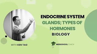 Glands amp Types of Hormones [upl. by Betthel]