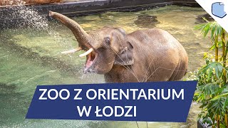 Zoo Łódź z Orientarium Poznaj słonia Aleksandra [upl. by Safko]