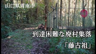 山口県周南市 到達困難な廃村集落「藤古祖」 [upl. by Annoit]