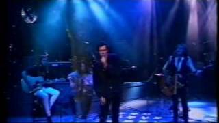 The Screaming Jets  Shivers  Tonight Live 1993 [upl. by Jerrie]