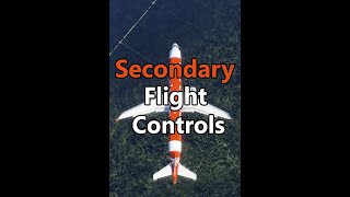 Secondary Flight Controls  Flaps Slats Spoilers and Trim Systems explained [upl. by Pavior]