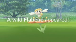 Rare Orange Flabébé in Pokemon Go February Highlights [upl. by Dawson]