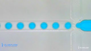 Microfluidics droplet generation with flow focusing [upl. by Ahsyekat588]