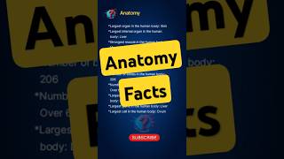 Facts about Anatomy gk generalknowledge anatomy science scienceeducation [upl. by Noired458]