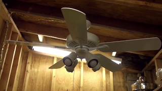 Hampton Bay Cameron II Ceiling fan [upl. by Pavlov]