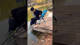 ironwood also like fishing like this European fishing chair fisheviralvideoviralshort [upl. by Anigroeg687]