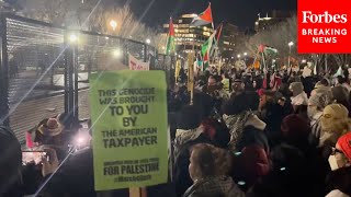 WATCH ProPalestinian Demonstrators Protest Outside The White House [upl. by Adiuqal]