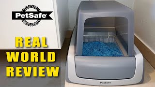 How Good Is The PetSafe Scoop Free Litter Box 8 Years Later [upl. by Banquer]