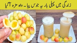 Khubani Ka Juice Recipe  How To Make Apricot Juice By Kitchen With Nafeesa [upl. by Asilahs]