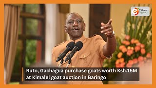 Ruto Gachagua purchase goats worth Ksh15M at Kimalel goat auction in Baringo [upl. by Thaxter296]