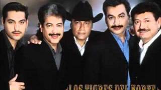 LOS TIGRES DEL NORTE MIX [upl. by Ursi]