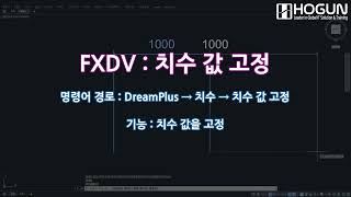 치수 치수 값 고정 FXDV [upl. by Nivrad635]