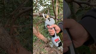 Branch pruning processGood tools can improve work efficiency [upl. by Irtimd]