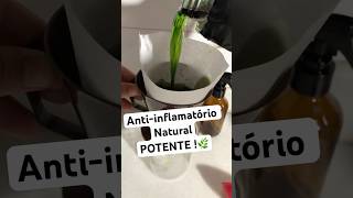 Antiinflamatório Natural POTENTE [upl. by Blunk234]