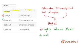 In photosynthetic bacteria the pigments occur in [upl. by Eilis]