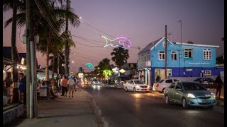 Oistins Fish Fry Barbados 🇧🇧 2 [upl. by Hurley]