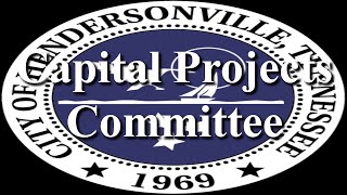 Hendersonville Capital Projects Committee 7112024 [upl. by Ellan]