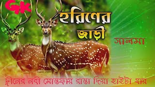 দ্বীনের নবী মোস্তফায় রাস্তা দিয়া হাইটা যায়  সালমা ইসলামী Dener nobi mostofa rashta diya haita jay [upl. by Hermia]