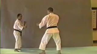 Shorinji Kempo Waza  TSURI OTOSI [upl. by Eilata]