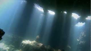 Diving at the Tangalooma Wrecks Queenaland [upl. by Ross]