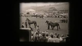 Standard 8mm Film Home Movies 1950’s bampw silent 400ft reel a dam and show and children playing [upl. by Notle]