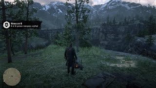 RDR2 Herbalist Challenge 8 [upl. by Ettenal]