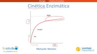 Cinética Enzimática [upl. by Deeann]