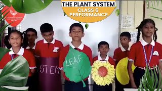 The Plant System Explained Through Skit  Class 6 Performance [upl. by Onitnevuj]