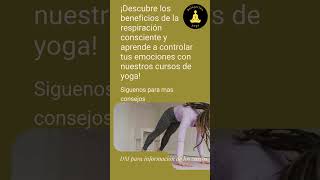 consejo de yoga [upl. by Bernardi]