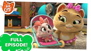 44 Cats  FULL EPISODE  Three Cats and a Kitten  Season 2 [upl. by Haibot]