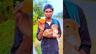 একি পারবে একা বাড়ি ফিরতে  🐕 minivlog vlog [upl. by Shepp]