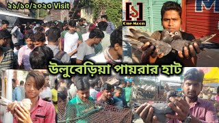 Uluberia pet market  Current Exotic Pigeons Price Update at Uluberia 21102023 Visit  One Moon [upl. by Iggem]