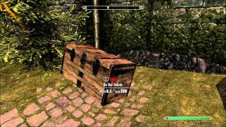 Skyrim Do not Delete this box [upl. by Solegna]