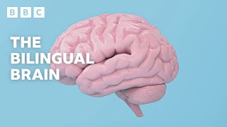 The AMAZING scientific benefits of being bilingual  BBC Ideas  BBC [upl. by Nairolf]