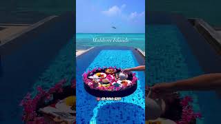 Maldives Honeymoon Package ☎️8290405227  Maldives tour package  Maldives low price tour [upl. by Holly]