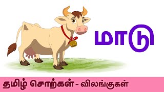 Cow மாடு  Animals விலங்குகள்  Learn Tamil Spellling [upl. by Akenihs384]