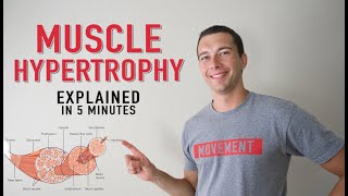 What is Muscle Hypertrophy  Physiology and Mechanisms of Muscle Growth in 5 minutes [upl. by Aidnic818]