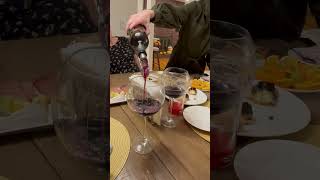 Wine Decanter Builtin Aerator Pourer [upl. by Asihtal]